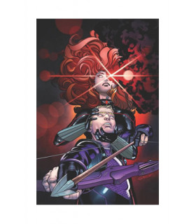 LOS VENGADORES 45 (146)