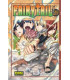 FAIRY TAIL 29