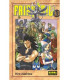 FAIRY TAIL 13