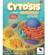 CYTOSIS BIG BOX, UN JUEGO DE TRANSPORTE CELULAR