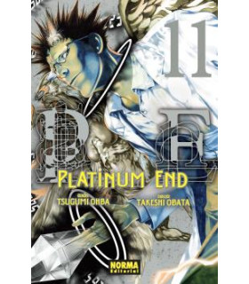 PLATINUM END 11