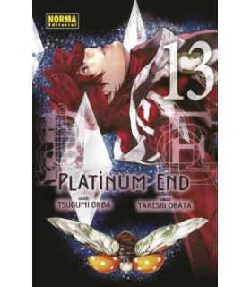 PLATINUM END 13
