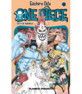 ONE PIECE Nº 49