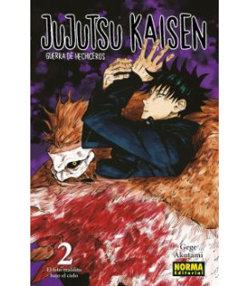 JUJUTSU KAISEN 02 (OLD)