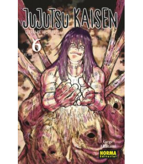 JUJUTSU KAISEN 06