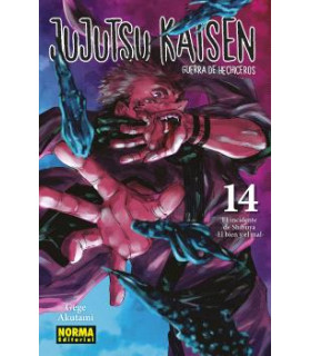 JUJUTSU KAISEN 14