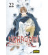 NORAGAMI 22