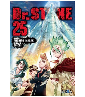 DR. STONE 25