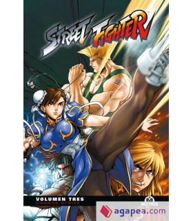 STREET FIGHTER VOL 03