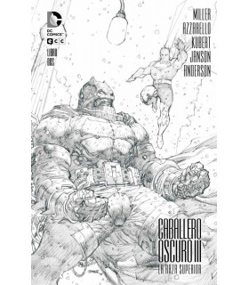 CABALLERO OSCURO III: LA RAZA SUPERIOR NÚM. 02 (CARTONÉ)