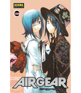 AIR GEAR 13