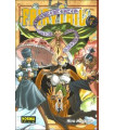 FAIRY TAIL 07