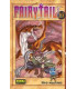 FAIRY TAIL 19