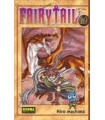 FAIRY TAIL 19