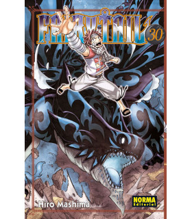 FAIRY TAIL 30