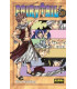 FAIRY TAIL 39