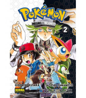 POKÉMON 27. NEGRO Y BLANCO 02