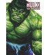 THE HULK 02
