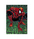 MARVEL MUST-HAVE. SPIDERMAN: TORMENTO