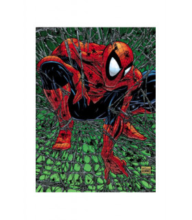 MARVEL MUST-HAVE. SPIDERMAN: TORMENTO