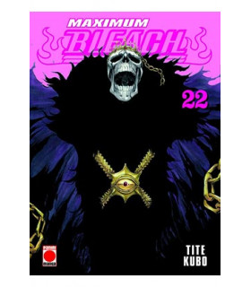 BLEACH MAXIMUM 22