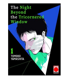 THE NIGHT BEYOND THE TRICORNERED WINDOW 01