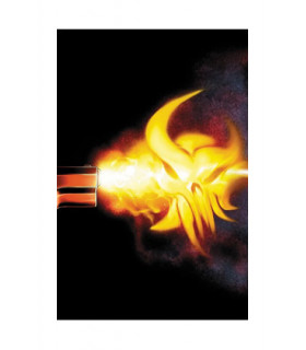 EL CASTIGADOR 08 DE 13