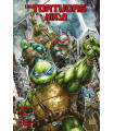 LAS TORTUGAS NINJA VOL. 14