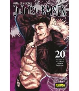 JUJUTSU KAISEN 20