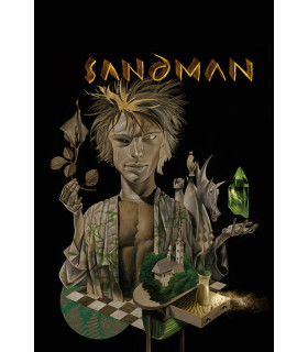 SANDMAN VOL. 11: EL VELATORIO (DC POCKET)