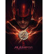 FLASHPOINT - LA SAGA COMPLETA