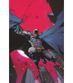 BATMAN: ALEGRÍA