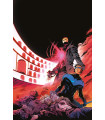 NIGHTWING NÚM. 22