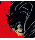BATMAN: EL CONTRAATAQUE DEL CABALLERO OSCURO (DC POCKET)