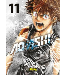 AO ASHI 11