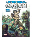 BIBLIOTECA CONAN. LA ESPADA SALVAJE DE CONAN 17
