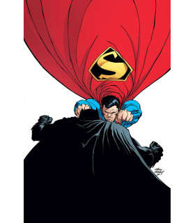 BATMAN: EL CABALLERO OSCURO: LA RAZA SUPERIOR VOL. 2 DE 2 (DC POCKET)