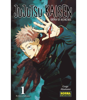 JUJUTSU KAISEN 01 (NEW)