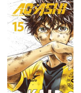AO ASHI 15