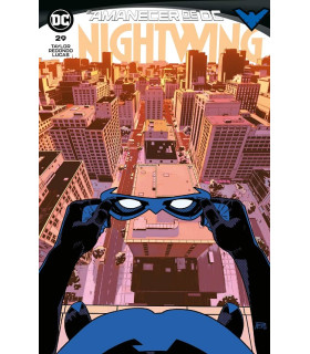 NIGHTWING NÚM. 29