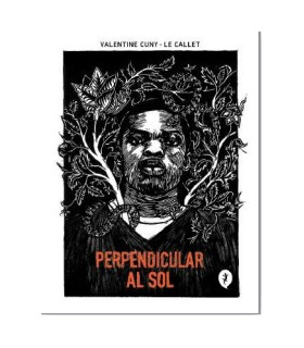 PERPENDICULAR AL SOL