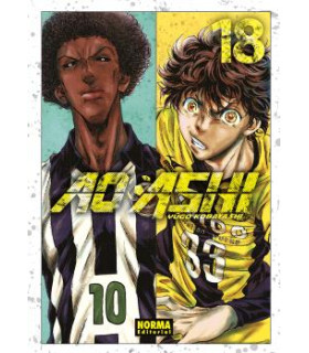 AO ASHI 18