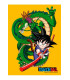 POSTER DE VIDRIO GOKU NIÑO Y SHENRON 30X40 DRAGON BALL