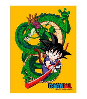 POSTER DE VIDRIO GOKU NIÑO Y SHENRON 30X40 DRAGON BALL