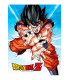 POSTER DE VIDRIO GOKU KAME DRAGON BALL Z 30X40 CM