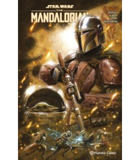 STAR WARS THE MANDALORIAN