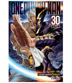 ONE PUNCH-MAN 30