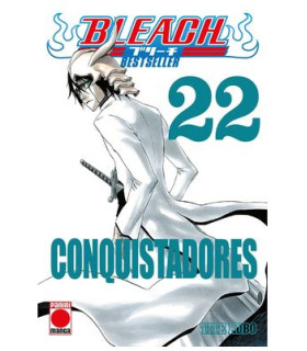 BLEACH BESTSELLER 22