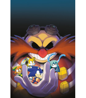 SONIC THE HEDGEHOG SOBRECARGA