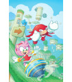 SONIC THE HEDGEHOG Nº 62